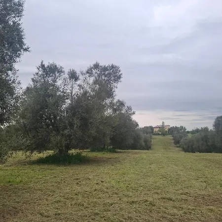 Villa Il Casale Di Dorothea *