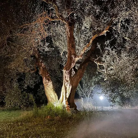 Il Casale Di Dorothea